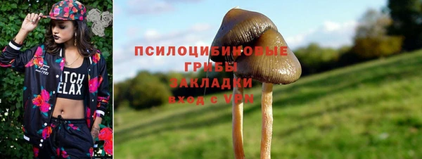 PSILOCYBIN Баксан